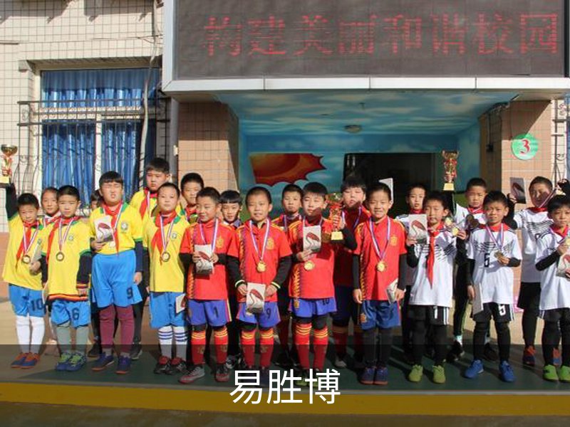 企业简介